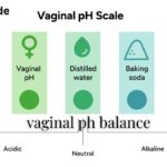 vaginal pH cycle